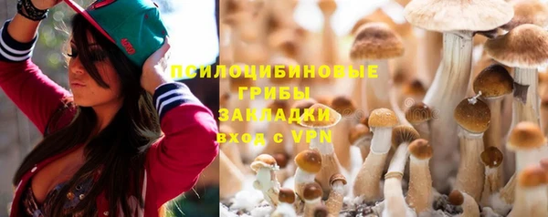 трава Абинск