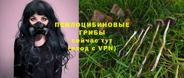 кокс Абаза