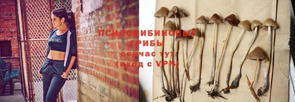 прущие грибы Пестово